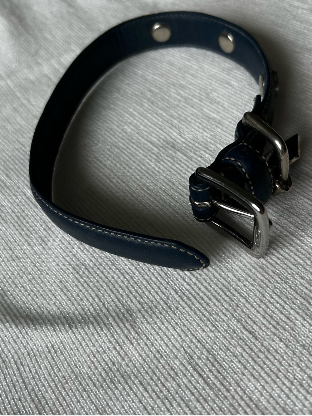 Coach Leather Blue Dog Collar with Silver-Tone Hardware and Coach Charm - Picture 5 of 10